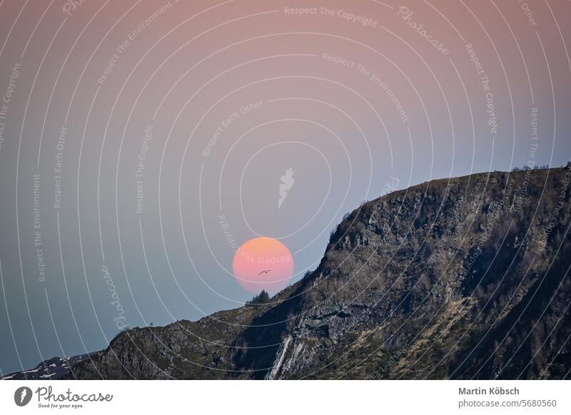 Westcap in Norway. Mountain that reaches into the fjord. Moon shining red mountains Fjord norway coast nature water horizontal fishing atlantic rock snow