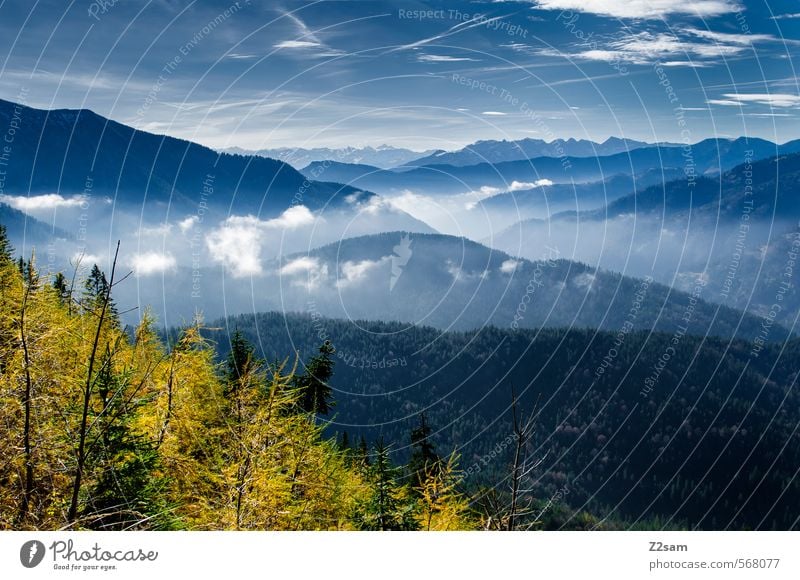 autumn hiking Trip Hiking Nature Landscape Sky Autumn Beautiful weather Tree Bushes Forest Alps Mountain Esthetic Tall Sustainability Blue Green Healthy Horizon