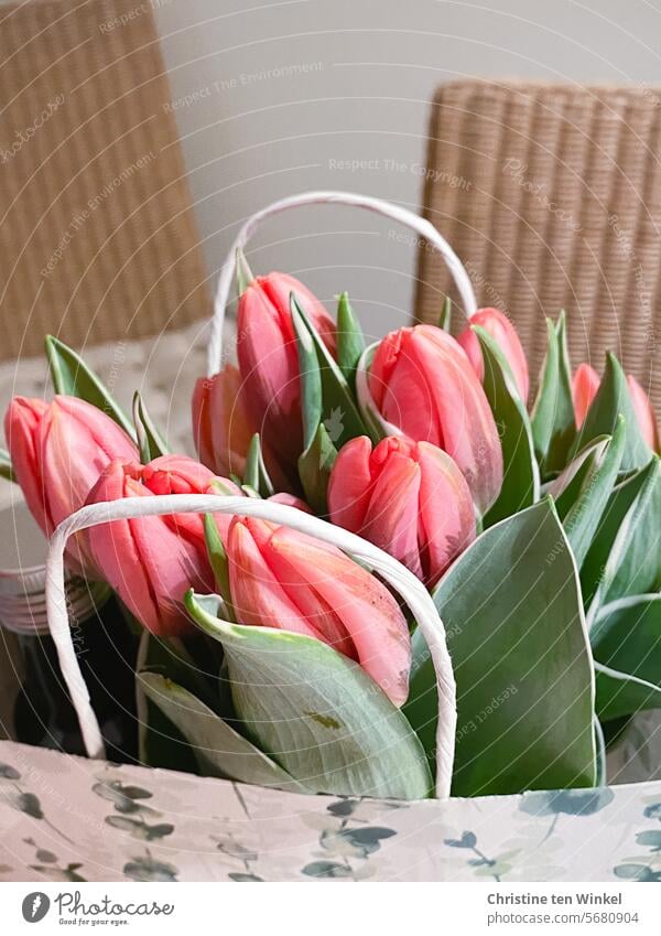 floral greeting tulips Spring Flower Valentine's Day Tulip blossom Joie de vivre (Vitality) bouquet of tulips spring feeling Spring flower Romance Easter