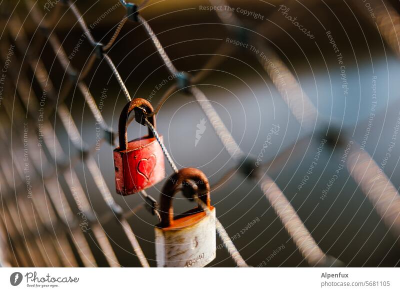 Prisoners of love Love padlock Display of affection Lock Romance Heart Padlock Infatuation Together Emotions Exterior shot Loyalty Declaration of love