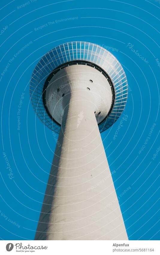 Television tower from the frog's perspective Duesseldorf Rheinturm Skyline Landmark Tower Colour photo Architecture Town Exterior shot Tourist Attraction