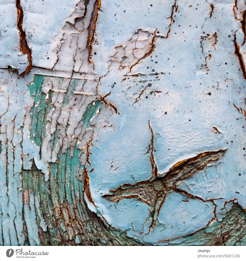 Star hail blue Pattern Wood grain Structures and shapes Texture of wood Old texture Weathered Surface star-shaped Stars Close-up Blue Varnish Flake off Detail