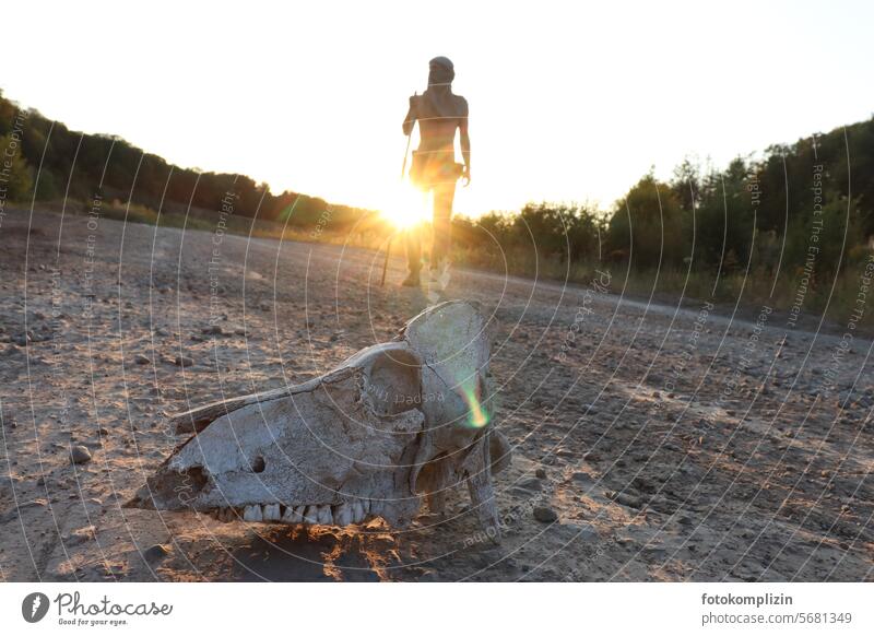 Animal skull on gravel path and human in the background animal head Death's head dead transient Morbid Bizarre Whimsical Surrealism Bone mysticism Lonely