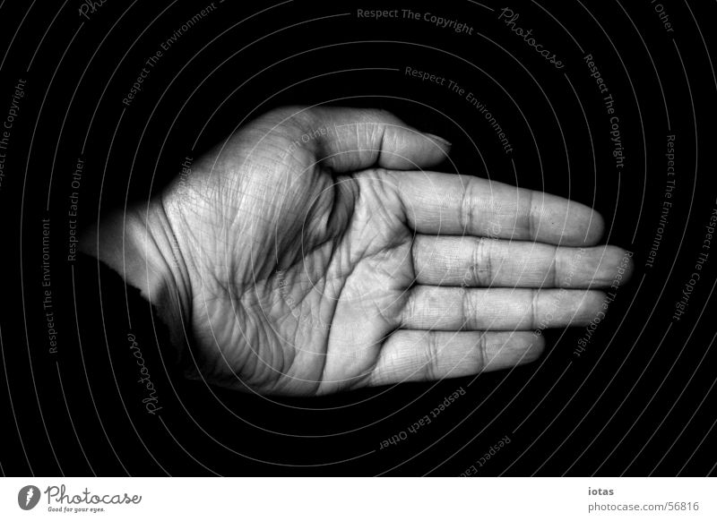 hand Hand Fingers Black White Masculine Man Fingernail Nail Palm of the hand Senior citizen Power Force Safety Black & white photo bw B&W left digit creases