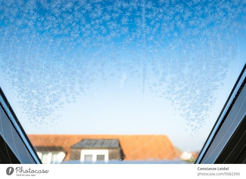 Small ice flowers on the skylight Skylight Ice Flower Frostwork outlook Winter Window winterly Cold chill sunshine Blue Winter's day Seasons Ice crystal Frozen