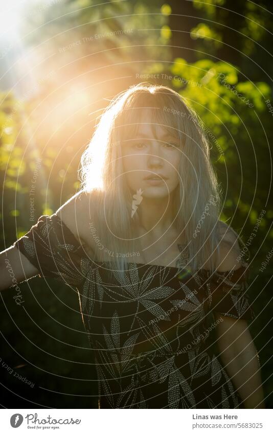 On a perfect day, a gorgeous blonde girl is in for a model test. A beautiful woman in a summer dress is feeling wild and free. The golden hour is painting her pretty face splendidly. A woman in nature is enjoying some sun rays.