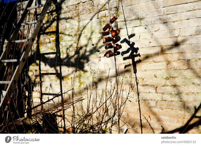 White wall with ladder Branch Relaxation holidays friost Garden Hedge allotment Garden allotments Deserted neighbourhood Nature Plant tranquillity