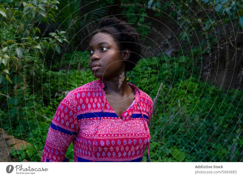 Calm young black woman standing in green forest confident alone hill park foliage thoughtful calm nature female ethnic african american casual pensive