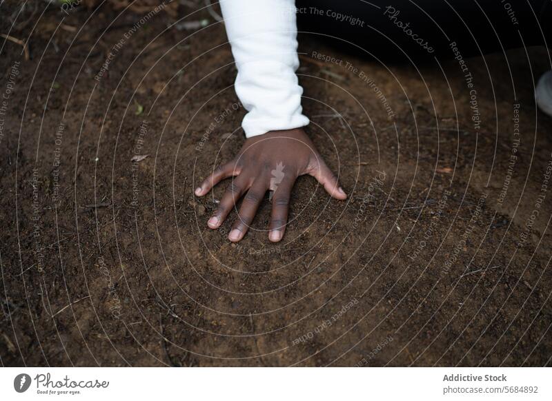 Unrecognizable black woman touching wet ground with hand palm soil forest sleeve finger countryside female ethnic african american rural casual environment