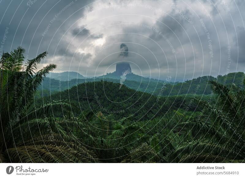 Misty Pico Cão Grande over lush forest landscape pico cão grande tropical verdant peak iconic sao tomé and principe moody sky nature outdoors cloudy mist green