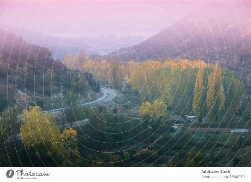 Misty sunrise over winding road in La Mancha, Spain la mancha castilla la mancha spain landscape mist tranquil foliage autumn golden trees nature rural scenic