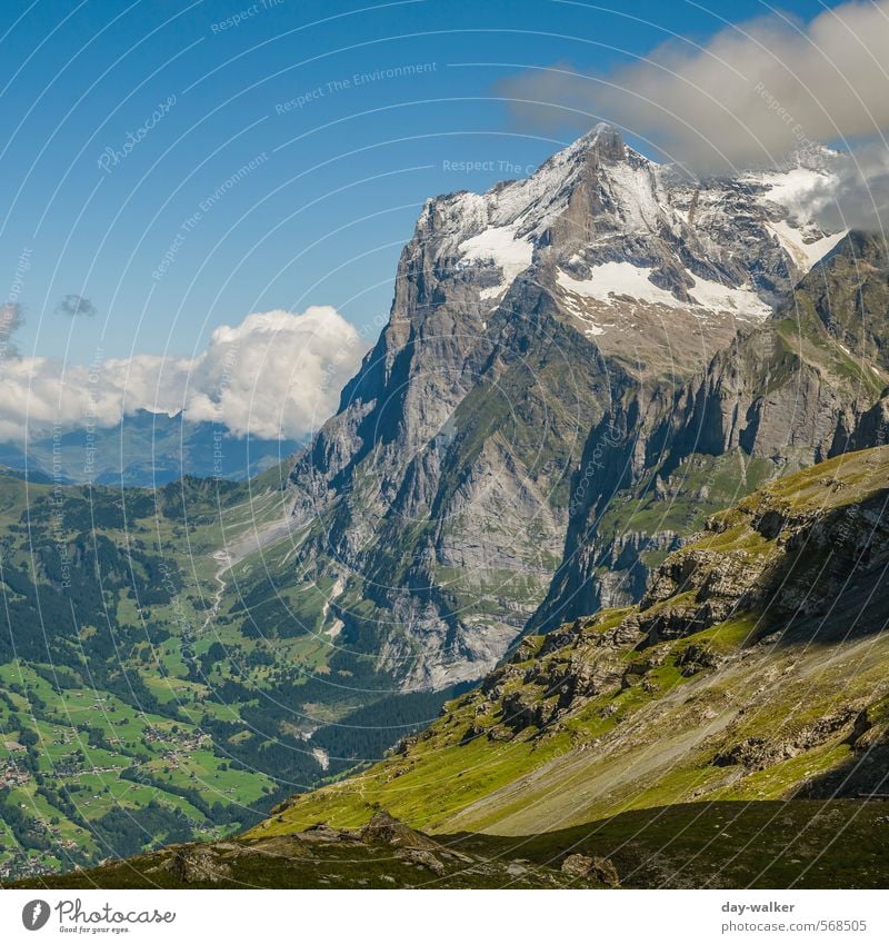 At the foot of the Eiger north face Nature Landscape Sky Clouds Summer Beautiful weather Snow Grass Moss Rock Alps Mountain Peak Snowcapped peak Glacier Old