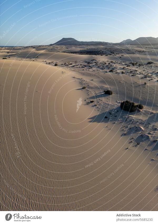 Pristine Corralejo Dunes under the soft light of dusk with volcanic hills in the distance in Fuerteventura Dusk sand evening tranquil natural landscape desert