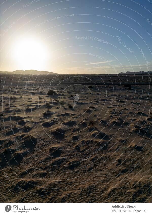 Sunset casting long shadows over the textured landscape of Corralejo Dunes in Fuerteventura sand sun tranquil natural beauty outdoor scenic desert arid