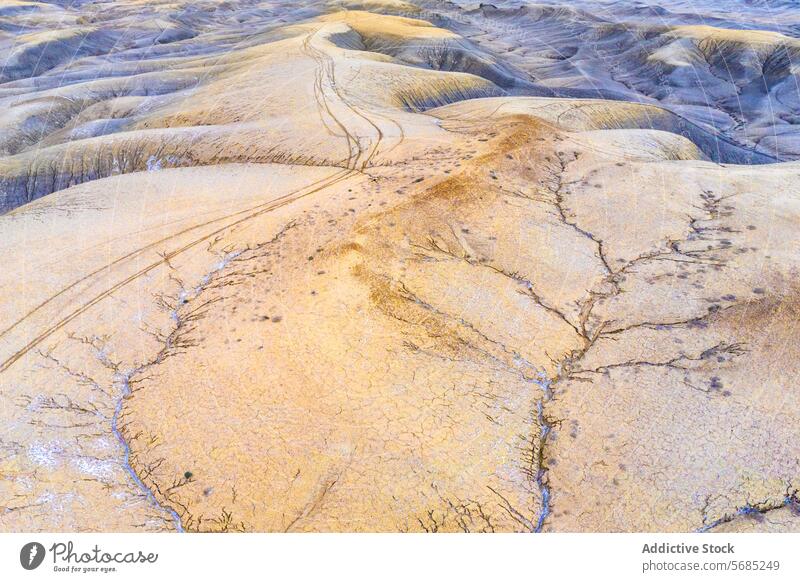 Aerial perspective of textured desert terrain with intricate erosion patterns and trails in Utah, exhibiting a blend of golden and grey hues earth natural