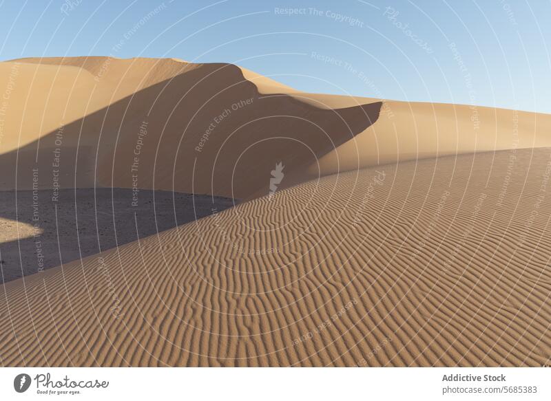 Tranquil dune landscape at Erg Tin Abaro erg tin abaro sand desert pattern tranquil serene sunrise glow undulating nature outdoor arid sahara dry wilderness