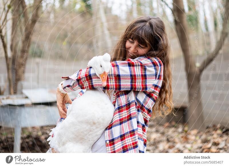 Farmer woman hugging a goose on a rural farm outdoors adult agriculture animal backyard beak bird breeding care caucasian cereal countryside domestic duck