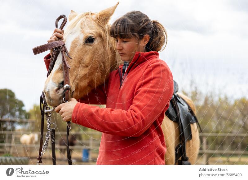 Woman preparing her horse to ride it adult animal beautiful bridle brown care caucasian closeup competition dressage equestrian equine equipment equitation farm