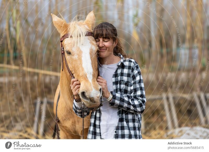 Portrait of a woman with her pretty horse ready to ride it adult animal beautiful bridle brown care caressing caucasian closeup dressage equestrian equine