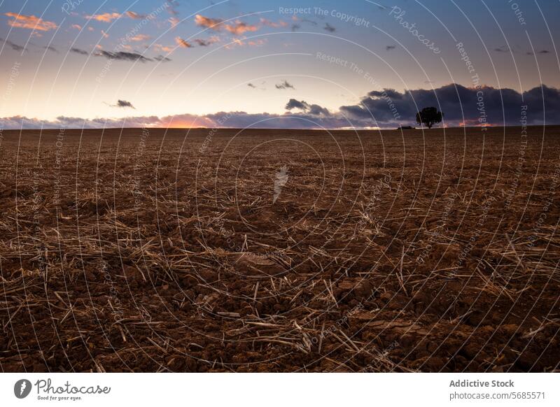 Tranquil field at dusk with dramatic clouds landscape serene twilight tree formation background tranquil nature outdoor sky horizon evening calm scenery rural