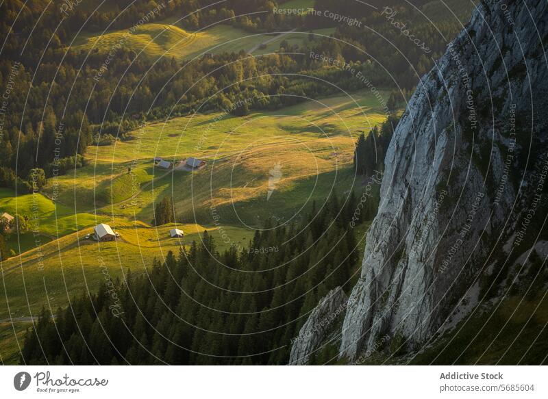 Serene Alpine Meadows at Sunset alpine meadow sunset switzerland appenzell traditional farmhouse sunlight serene nature landscape rural tranquility golden