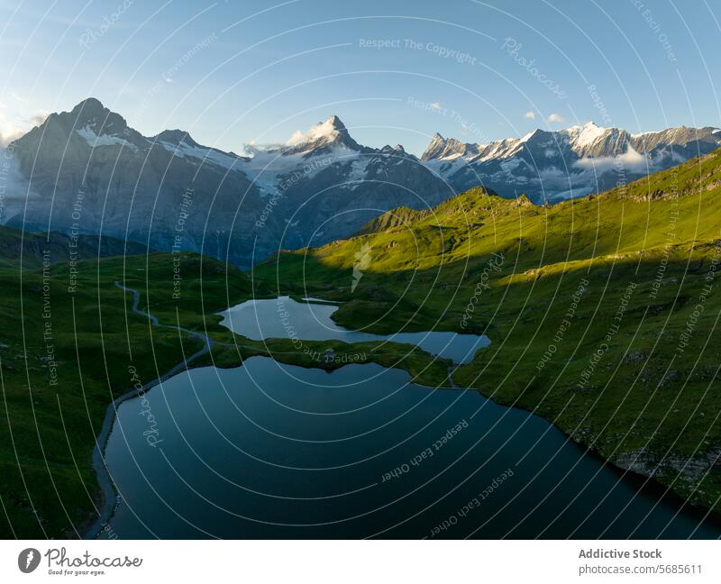 Alpine Serenity at Sunset Over Bachalpsee Lake alpine serenity sunset bachalpsee lake switzerland swiss alps mountains snow peaks greenery landscape nature