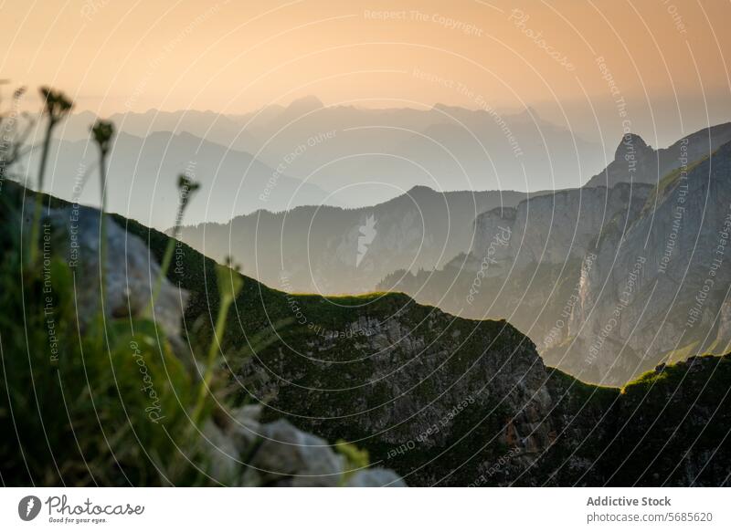 Serene sunrise over the peaks of Appenzell mountain appenzell tranquility landscape glow serene layer nature outdoor scenic switzerland morning light silhouette