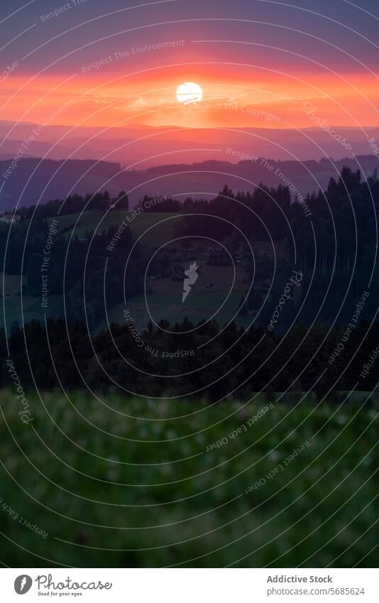 Captivating sunset over Appenzell's rolling hills appenzell landscape nature vibrant orange red sky lush serene beauty dusk twilight illumination switzerland