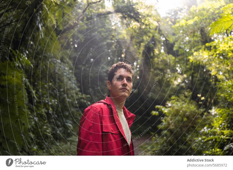 Male exploring the lush greenery of a vibrant forest man exploration adventure young adult nature trees wanderlust tranquility serene red jacket outdoor male