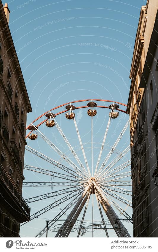 Ferris wheel rises majestically between buildings, contrasting the historical architecture with modern amusement urban park ride fairground leisure outdoor