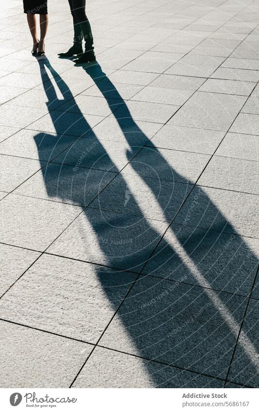 Long shadows of a couple on urban pavement in Madrid madrid spain sunlight afternoon silhouette street city walking anonymous elongated ground outdoor cityscape