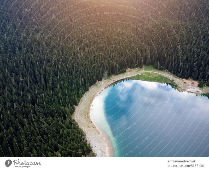 Amazing aerial drone view of Crno Jezero or Black lake, pine forest and cliffs in Durmitor national park, Zabljak, Montenegro. Travel, environment, beauty in nature, relaxing. UNESCO World Heritage