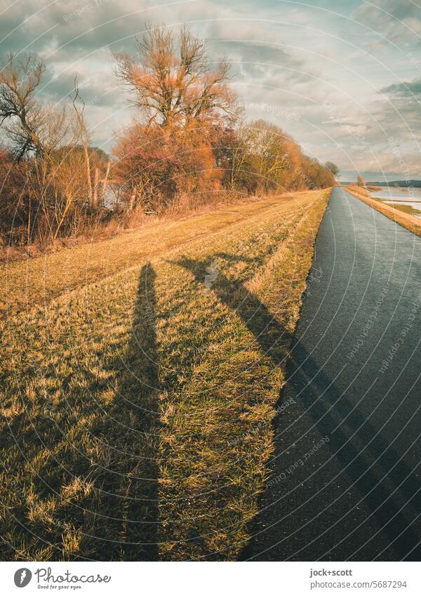 Illuminated on the dyke Dike Sky Clouds River bank Grass bare trees Winter Environment Nature rainwater Panorama (View) Bad weather Horizon Sunlight Silhouette