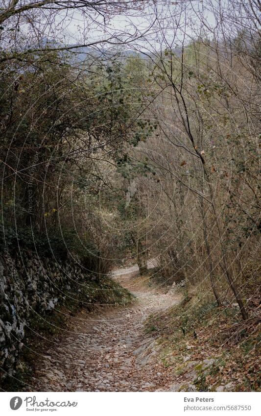 Medieval path near Canale di Tenno, Italy Looking mountains Trentino Tourism vacation trento Mountain Summer Landscape Nature Vacation & Travel Blue Clouds Day