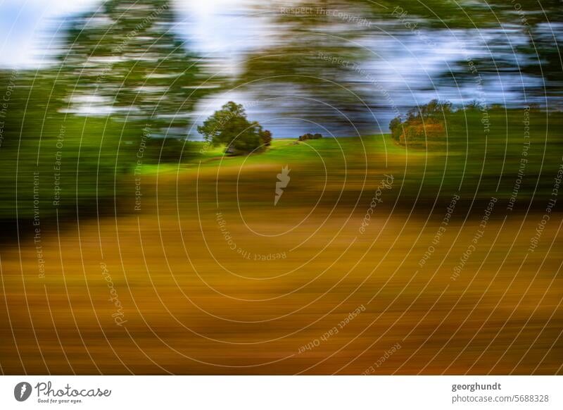 Driving past a landscape in Mecklenburg with trees, forests and meadows. Blurred with sharp elements. drive past hazy Movement motion blur Meadow Forest Nature