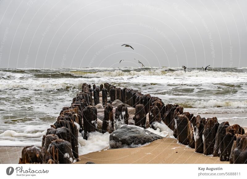 Old wooden groyne Old groyne North Sea beach Surf Wave action North Sea coast Break water coastal protection breakwater swell Waves Ocean wooden posts