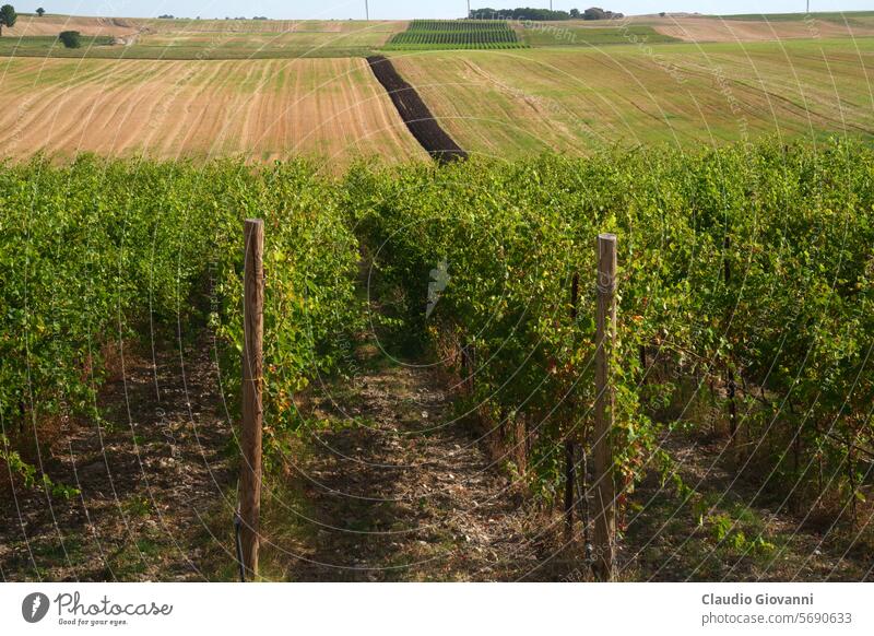 Country landscape near Oppido Lucano and San Chirico, Basilicata, Italy Europe Potenza agriculture bale color country day field hill mountain nature photography