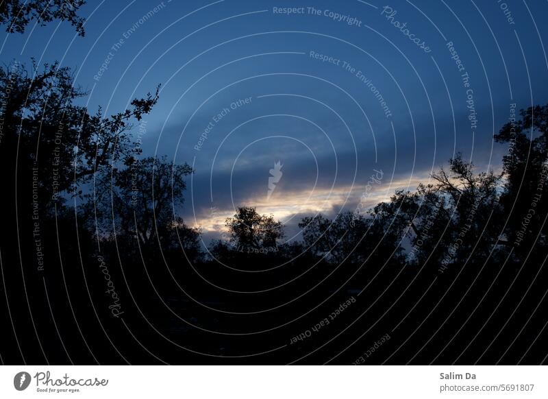 Blue hour sky Blue sky blue skies blue hour Sky Sky blue Skylight sky background Clouds Clouds in the sky cloudscape Nature Natural naturally Moody