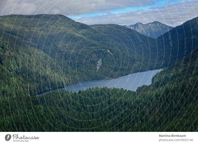 Aerial view on the wilderness in Alaska with trees and a river alaska lake aerial landscape blue outdoor water nature beautiful scenic park mountains