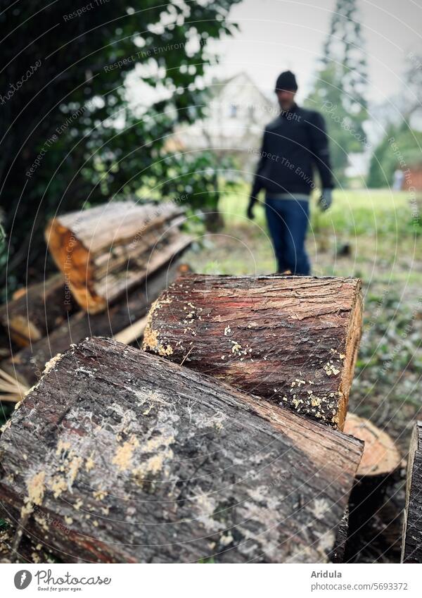 Cypress trees | woodpile | man in the background Wood Stack of wood Forestry Logging Tree Timber Annual ring Tree section Cut Brown structure bark Tree bark