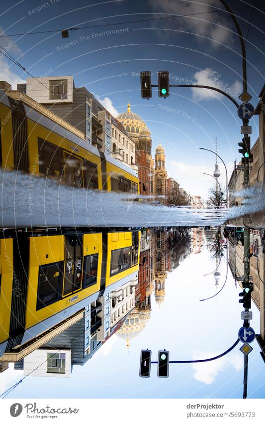 Berlin sights in the puddle VII Winter real estate dwell Copy Space top Downtown Berlin Capital city High-rise Urbanization Copy Space right Copy Space left