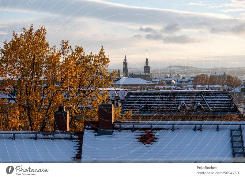 #A0# Dresden in the snow Sky Sunrise sunny Winter Romance Exterior shot Old town Twilight Clouds Architecture Downtown Hofkirche roofs Winter mood