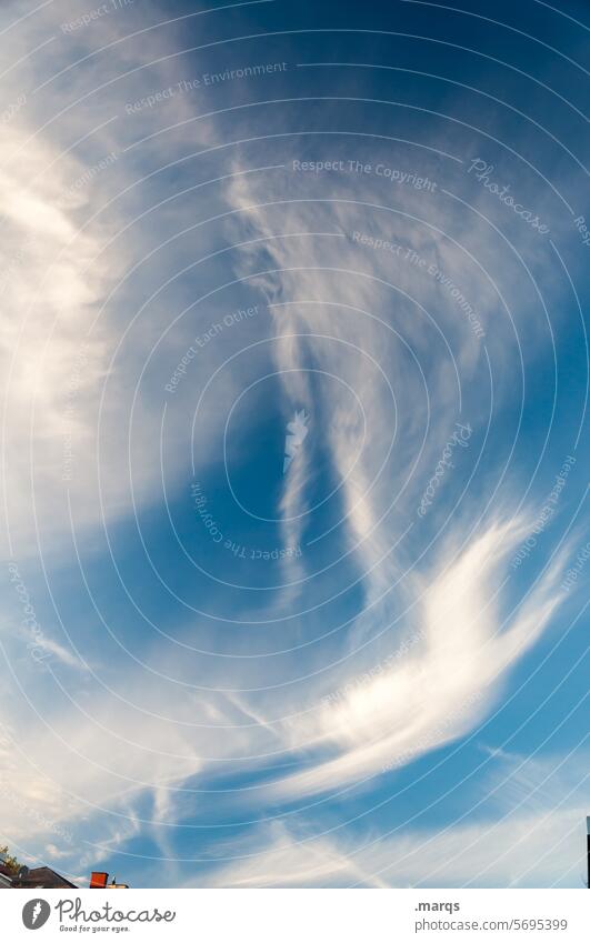 Ruffled feather cloud Spring clouds Cirrus Climate Elements Beautiful weather Weather Nature Clouds Sky Feather Clouds in the sky Blue Air Cirrus cloud