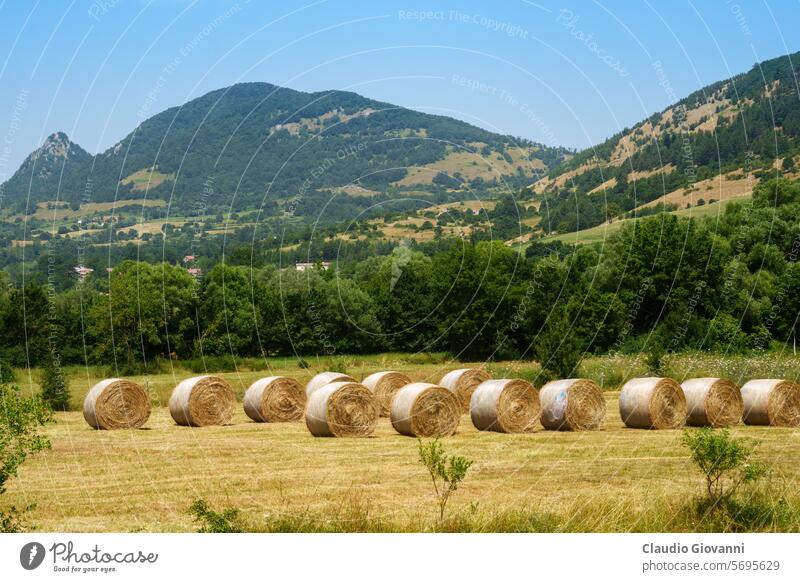 Country landscape in Molise, Italy, near Carovilli Europe Isernia San Pietro Avellana color day green hill historic house nature old photography summer town