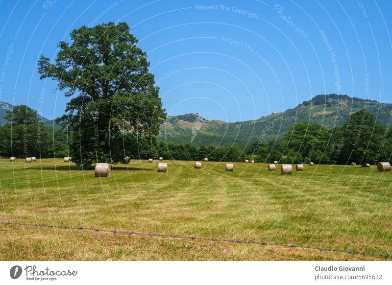 Country landscape in Molise, Italy, near Carovilli Europe Isernia San Pietro Avellana bale color country day field green hill historic nature old photography