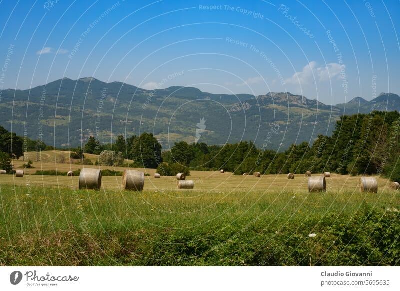 Country landscape in Molise, Italy, near San Pietro Avellana Europe Isernia bale color country day field green hill nature photography rural summer travel tree