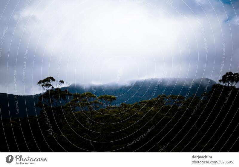 Rain clouds over the mountains Raincloud Sky Clouds Nature Deserted Weather Climate Landscape Bad weather Exterior shot Threat Environment Elements Dark Storm