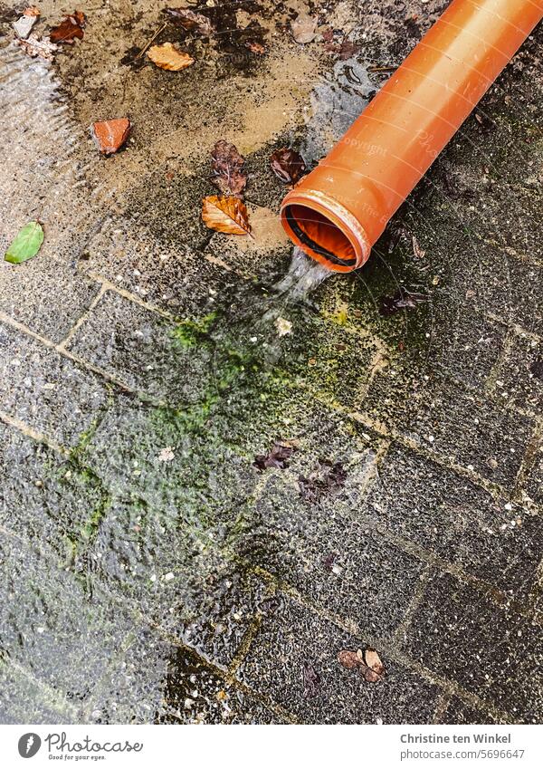 Drainage / pumping out water at a construction site drainage Drainage pipe Water Wet Paving stone Green covering Moss slippery Reflection leaves off Puddle