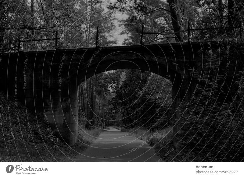 Analog black and white photograph, cycle path in the countryside near Berlin, old railway bridge Analogue photo analogue photography analog photography