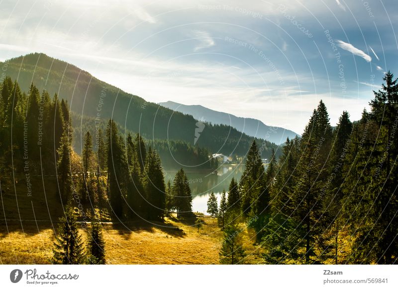 Spitzingsee Hiking Environment Nature Landscape Sky Clouds Autumn Beautiful weather Tree Bushes Forest Alps Mountain Lakeside Brook Esthetic Fresh